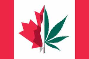 Canadian Cannabis Investments Flow into Canada